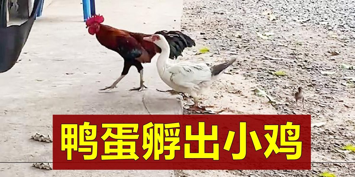 11c48910-3815-4378-a43f-3db14a01288e53411fc7-7862-4c3c-bdd0-e517ec851a02