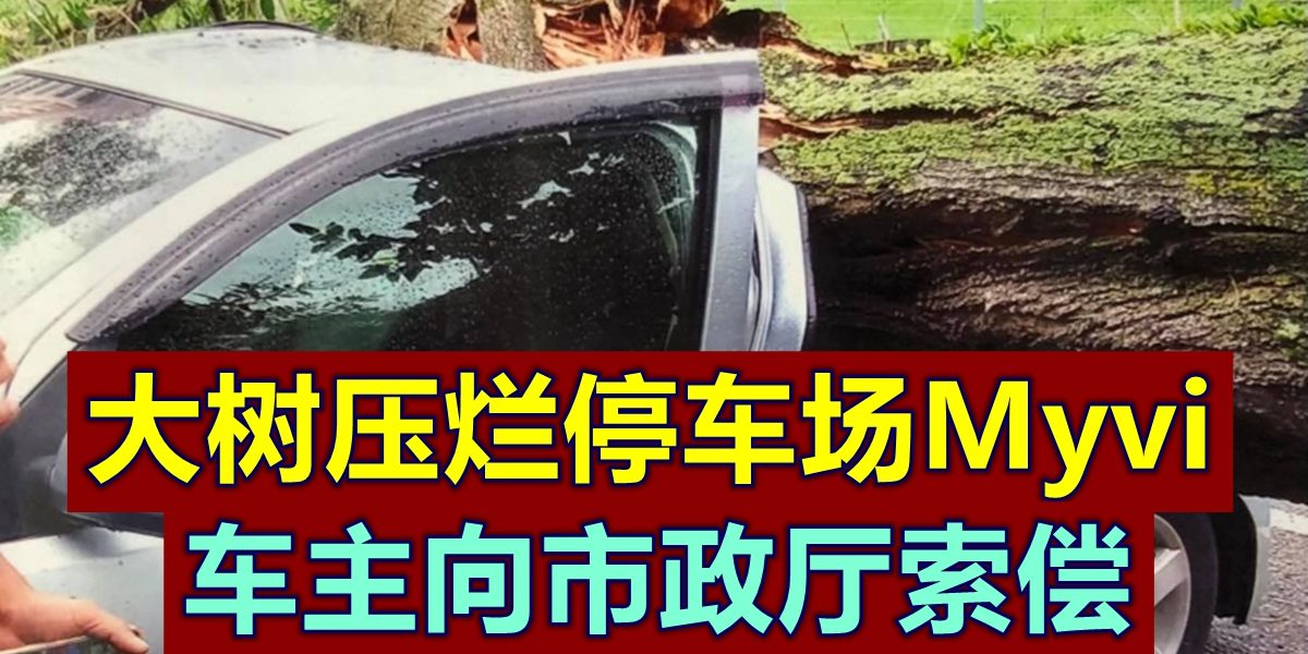 07603e43-02af-46c5-abaf-84239337cf83_zsize