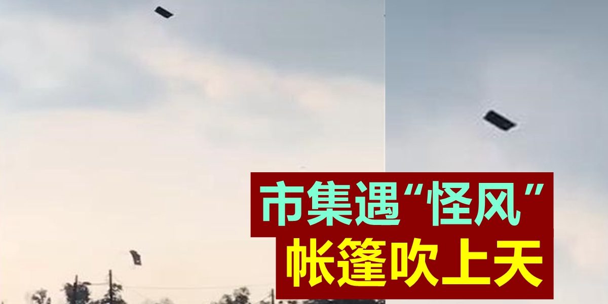 c0ef0b6d-73b2-47bd-adb0-ac8a6d51a651