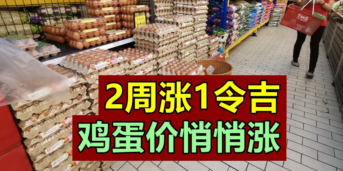 b100f00e-704f-461c-bbac-ae50307cb676_zsize