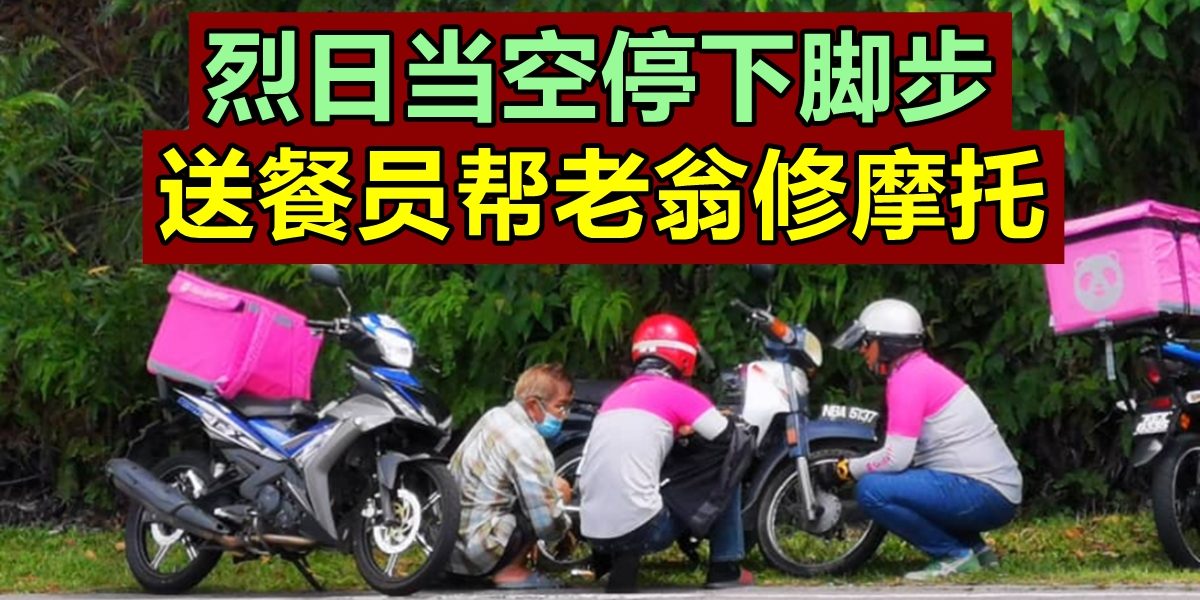 d69a23a9-5d46-45c9-8011-42b9877c2e92_zsize