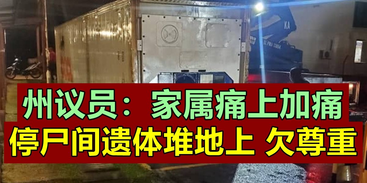 t2_(9X96X330X281)7b786488-cd9a-4d6a-9c30-a2a80a7d4a6e