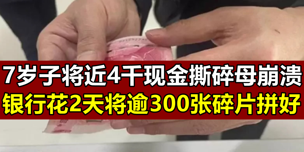 微信图片_20211220093732